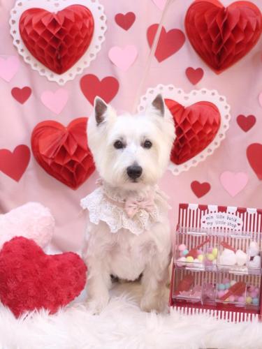 20240229ももちゃん